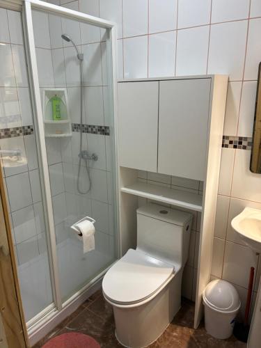 a white bathroom with a toilet and a shower at Cabaña de Lujo Independiente in Frutillar