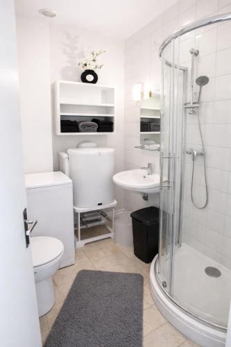 a bathroom with a shower and a toilet and a sink at Château Walk Studio Appartement in Fontainebleau