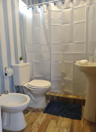a bathroom with a toilet and a sink at Cabañas Ventalia in El Calafate