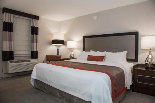 a hotel room with a large bed and a window at Ramada by Wyndham Boston in Boston