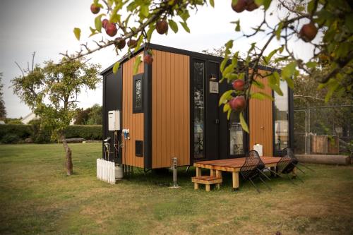 a tiny house sitting in a yard with a table at Applewood Cabin 1 by Tiny Away in Christchurch