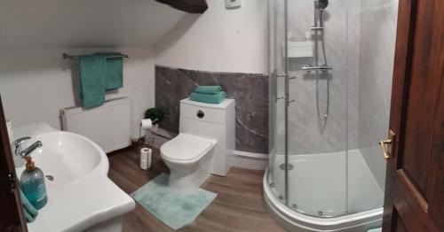 a bathroom with a shower and a toilet and a sink at Tudor Cottage, Newby Bridge in Ulverston
