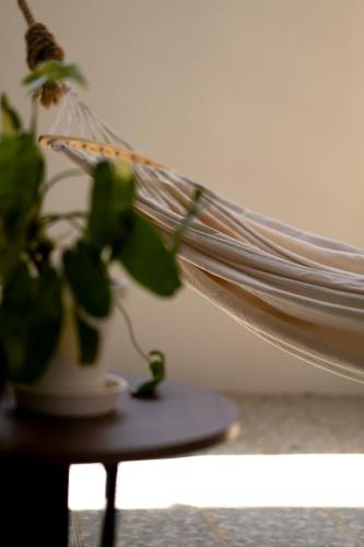a plant sitting on a table next to a book at Oceanchild Khaolak in Khao Lak