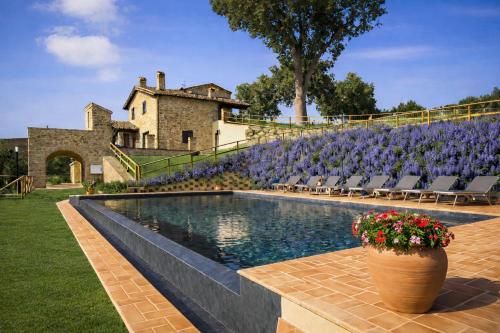 a pool with chairs and a house with purple flowers at VILLA ERMELINDA - Ville Carborello in Castelraimondo