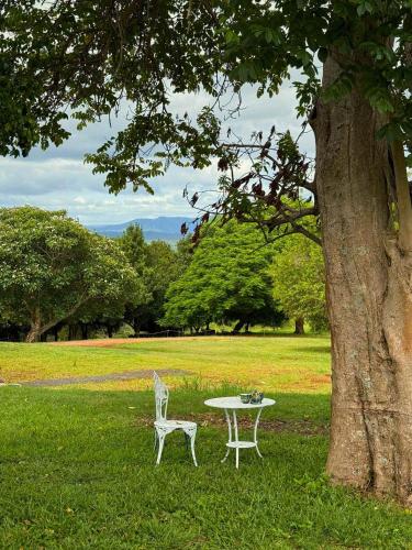 a table and two chairs sitting next to a tree at Under the Velvet Sky by Tiny Away in Dagun