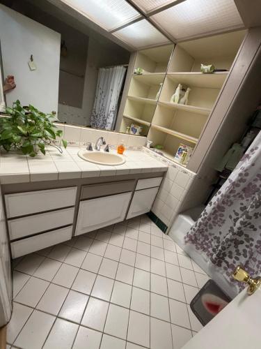 a bathroom with a sink and a mirror at Citrus Loft - Quiet and convenient female only in Covina