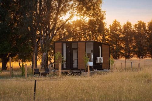 ein winziges Haus auf einem Feld neben einem Baum in der Unterkunft Billy Button by Tiny Away in Maindample