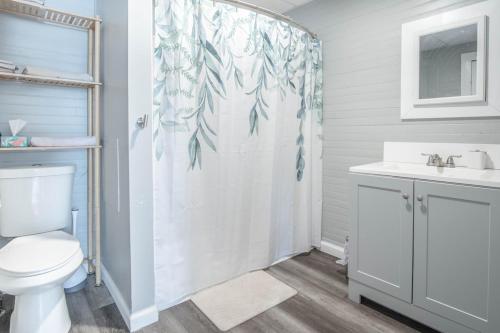 a bathroom with a shower curtain with a toilet and a sink at Cozy Croghan Apartment in Croghan
