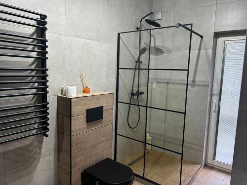 a shower with a glass door in a bathroom at Villa Bory in Vygoda