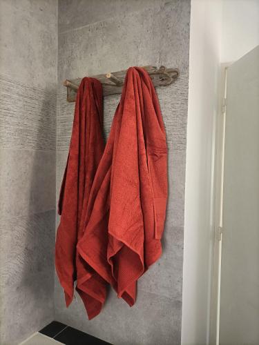 two red towels hanging on a rack in a bathroom at La Cabane du lagon atypique et accès à la plage in La Saline les Bains