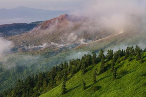 a misty mountain with trees on a green hill at Shibu Onsen Koishiya Ryokan in Yamanouchi
