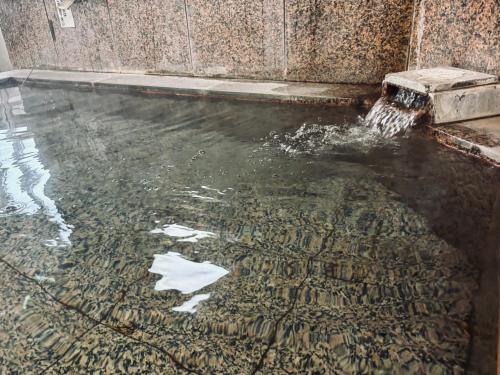 a pool of water with a fountain in a building at Saga City Hotel in Saga
