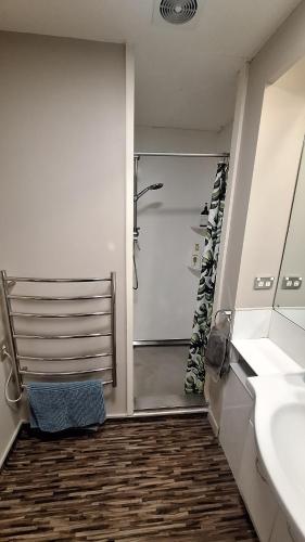 a bathroom with a shower and a sink and a mirror at Relax on Robertson in Queenstown