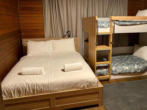 a bedroom with a bunk bed and a ladder at Stone Walls in Derby