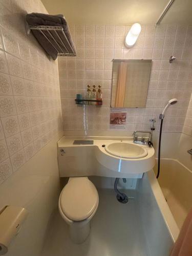 a bathroom with a sink and a toilet and a mirror at ホテルルネサンス土浦 in Tsuchiura