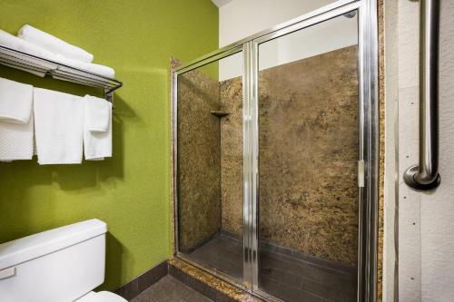 a bathroom with a shower with a toilet and green walls at Sleep Inn & Suites Valdosta Mall Area in Valdosta