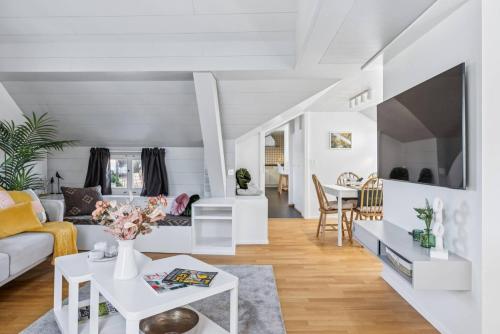 Old Town Zurich Penthouse Rooftop Terrace AC