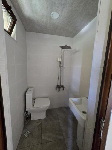 a bathroom with a toilet and a sink at Guesthouse Angelina in Ushguli