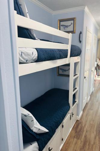 two bunk beds in a room with blue walls at Boltons Bungalow Casa Del Mar in Galveston