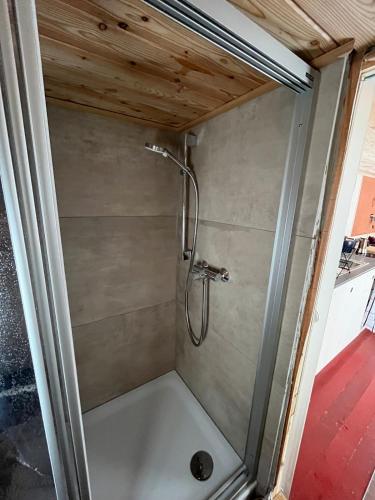 a shower with a shower head in a bathroom at Lovingly renovated 120-year-old train car! in Ramsau am Dachstein