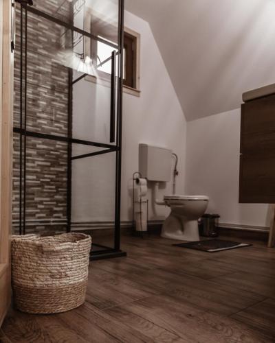a bathroom with a toilet and a glass shower at La Poalele Vulcanilor in Densuş