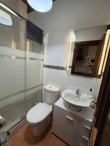 a bathroom with a toilet and a sink and a shower at Villa Quijada in Trefacio
