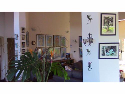 a living room with a couch and a plant at Forest Nest Cottage, Tsitsikamma in Stormsrivier