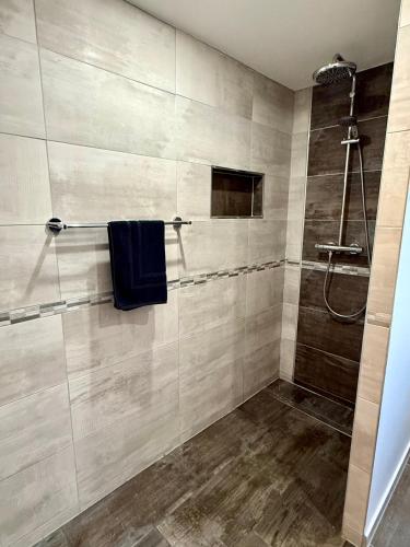a bathroom with a shower with a blue towel at La Bulle d Avenir in Corcieux