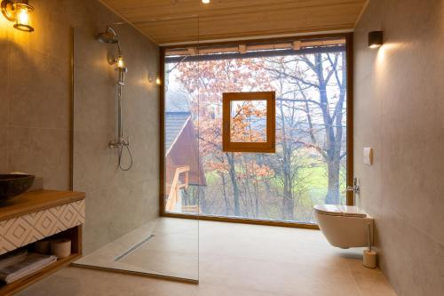 a bathroom with a toilet and a large window at Prispa Premium Resort in Vişeu de Sus