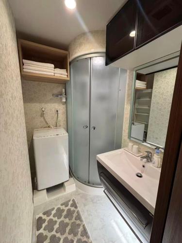 a bathroom with a toilet and a sink and a mirror at Eko House in 横浜石川町駅 in Yokohama