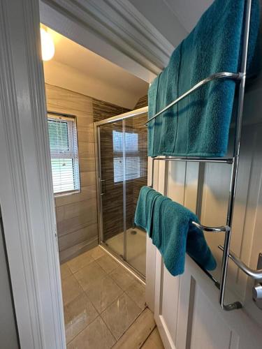 a bathroom with a shower with blue towels on the door at Riverside Cottage in Kildare