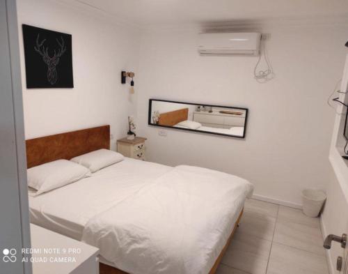 a bedroom with a bed and a mirror on the wall at קסם הרימון - 4 צימרים מושלמים עם בריכה וג'קוזי in ‘Azriqam