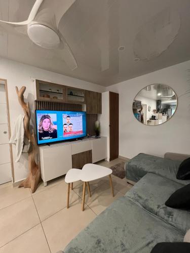 CALME ET MODERNE Appartement avec jardin, centre ville,