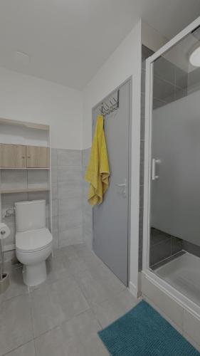 a bathroom with a toilet and a shower and a sink at Le Trilou - By BEST KEYS - Triplex Totalement Climatisé 3 Chambres - Lit King Size - Smart TV Canal Plus & Amazon Prime - Cuisine Équipée - Télétravail - Proche Centre & Canal de Bourgogne - Check-in Autonome in Brienon-sur-Armançon