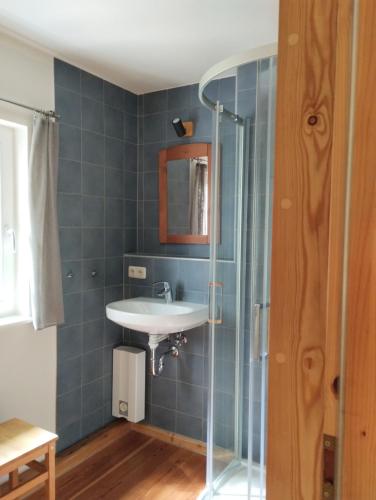 a bathroom with a sink and a glass shower at Ferienhaus Malepartus Sächsische Schweiz in Bad Gottleuba