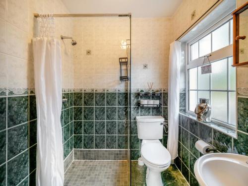 a bathroom with a toilet and a shower and a sink at 2 Bed in Dunkineely oc-ii05062 in Dunkineely