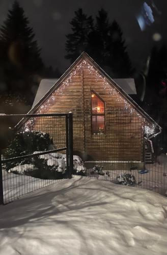 Dom pod Złotą Łyżwą