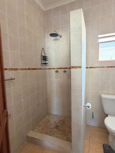 a bathroom with a shower with a toilet at Le Grec Wine Tram Apartment #2 in Franschhoek