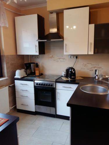 een keuken met witte kasten, een wastafel en een fornuis bij City Centre Apartment in Győr