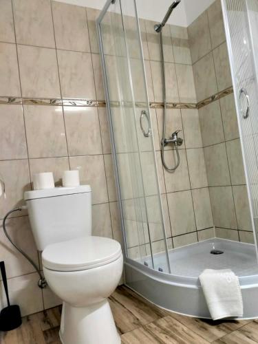 a bathroom with a toilet and a shower at KAMIENICA Pokoje & Restauracja in Opalenica