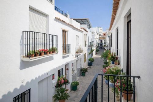 Noctua Estepona Old Town 025
