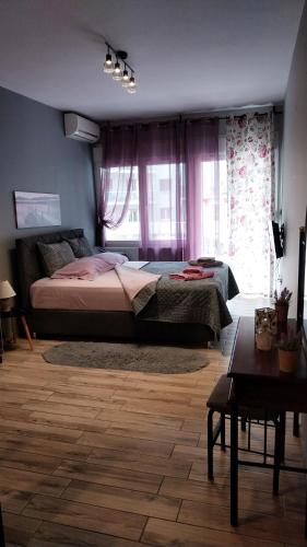Cute central apartments