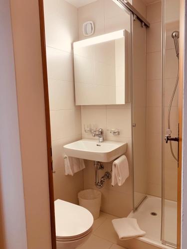 a bathroom with a sink and a toilet and a shower at Ferienwohnungen Albana in Silvaplana