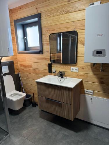 a bathroom with a sink and a toilet and a mirror at Kolyba Club in Stanishovka