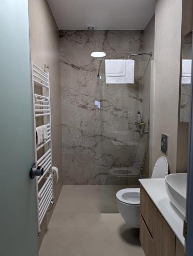 a bathroom with a shower and a toilet and a sink at Ekavis House and Terrace in Kavála