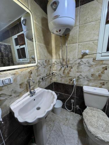 a bathroom with a sink and a toilet and a mirror at Giza - faisal in Cairo