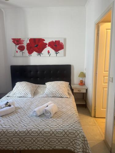 Premium central Apartment