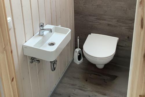 a bathroom with a white sink and a toilet at Wildgans 269 in Mirow