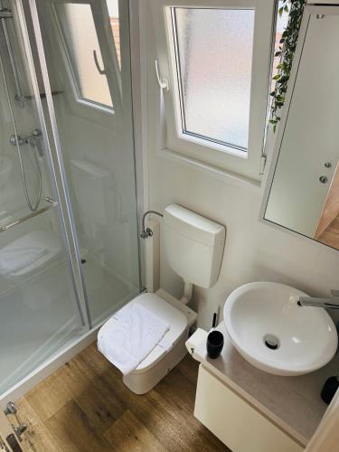 Mobile home Nika