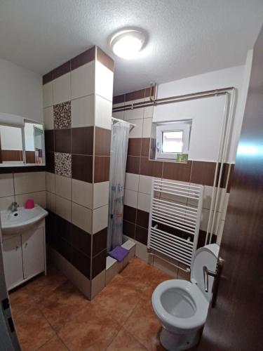 a bathroom with a toilet and a sink at Chaty Antónia in Hriňová